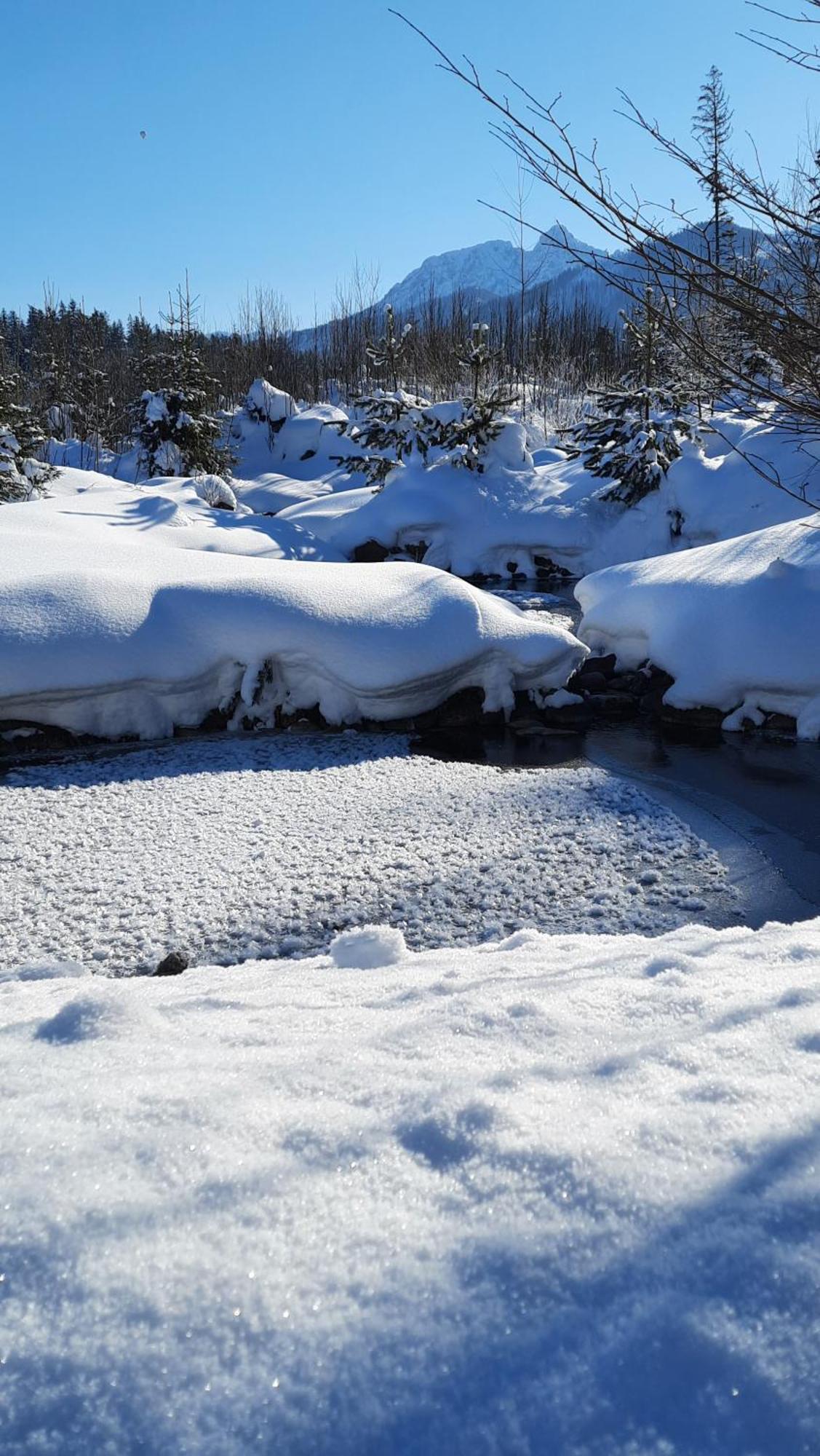 Goralska Chata Przy Dolinie Chocholowskiej Witów Exterior foto